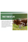 NatureBell Bovine Colostrum 1000mg  240 Capsul  40% IgG Colostrum for Gut Health, Bloating, Skin, Hair Immune Support.46.