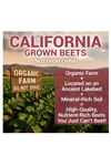 Dr. Berg Raw Organic Beet Powder–90gr 30 Servis USDA Certified Nitric Oxide, Energy, Blood Flow.