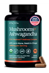 Etta Vita Mushroom+Asvaganda 90 Capsul Lions Mane,Chaga,Reishi,Cordyceps,Turkey Tail 10x Adaptogenic Complex Focus-Energy,Immunity Nootropic.