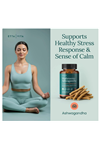 Etta Vita Mushroom+Asvaganda 90 Capsul Lions Mane,Chaga,Reishi,Cordyceps,Turkey Tail 10x Adaptogenic Complex Focus-Energy,Immunity Nootropic.
