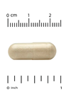 Thorne Basic Nutrients 2/Day, 60 Capsules.(Multivitamin).USA.