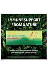 Prince of Peace Red Panax Ginseng Extractum Ultra Strength, 10cc 0.34 Fl Oz (Pack of 30 Şase).