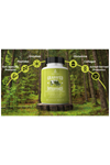 Ancestral Supplements Grass Fed Beef Intestines Stomach 3000mg 180 Capsules Digestion  Acid Reflux Gut, Intestine Digestive Health.