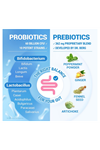 Dr. Berg Probiotic (60 Billion CFUs) 60 Probiotic Capsul Ease Occasional Constipation, Diarrhea, Gas  Bloating - Probiotics for Digestive Health.