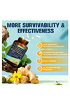 Totaria Probiotic Prebiotic  Postbiotic 120 Capsul 60 Billion CFU 24 Strains w/Digestive Enzymes, Prebiotic Fiber, Slippery Elm, Daily Complete Immune, Gut Health.