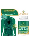Ulmubra Liposomal Luteolin 800 MG 60 Softgels.