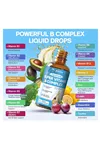 Totaria Liposomal Vitamin B Complex Pro 60ML 60 Servis.