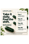 Plus+Ultra  Liposomal Urolithin A Complex, 1250mg with NAD+ NR, Resveratrol 60 Veg Capsul.